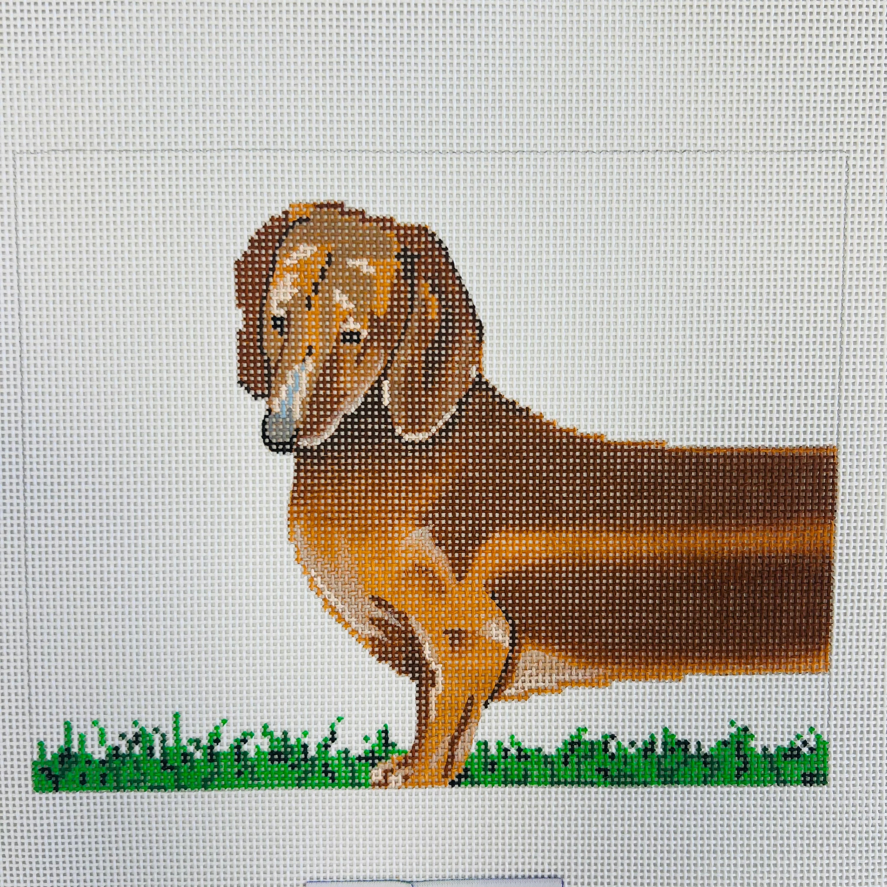 Dachshund Needlepoint store Pillow