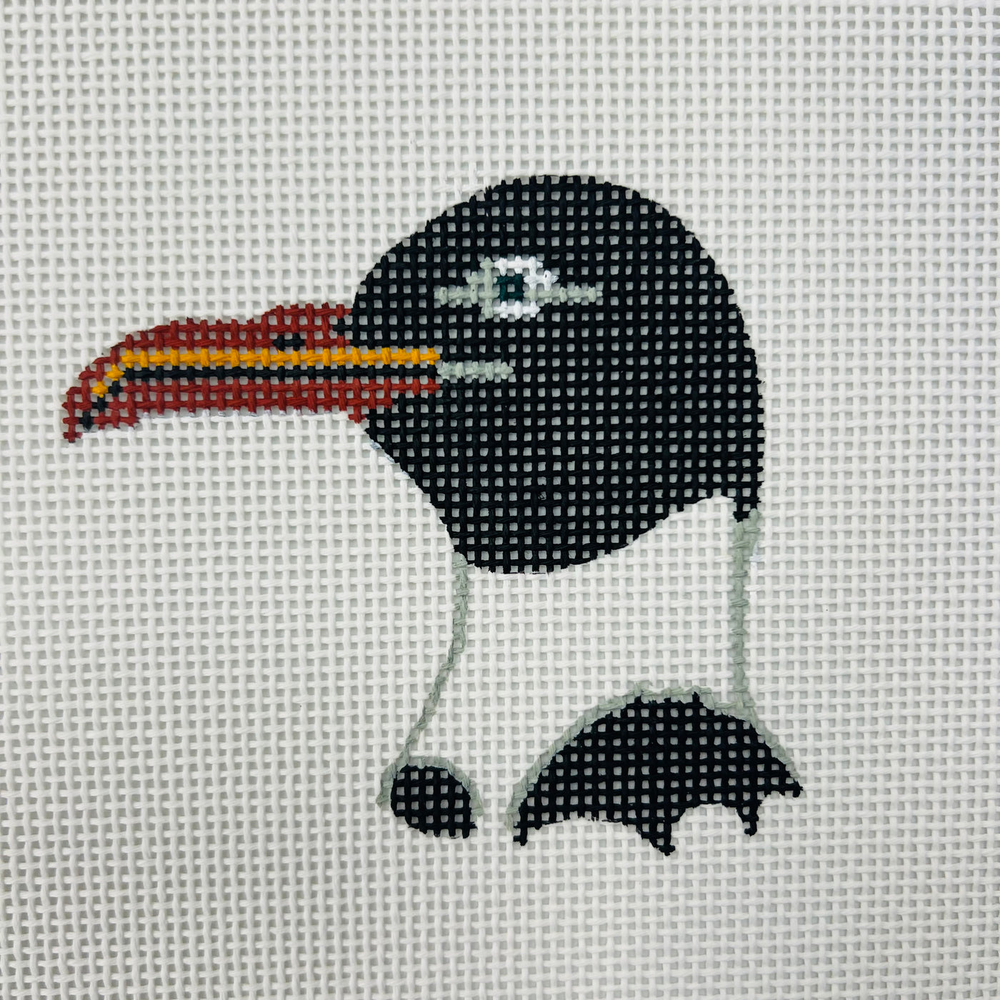 Laughing Gull  Insert