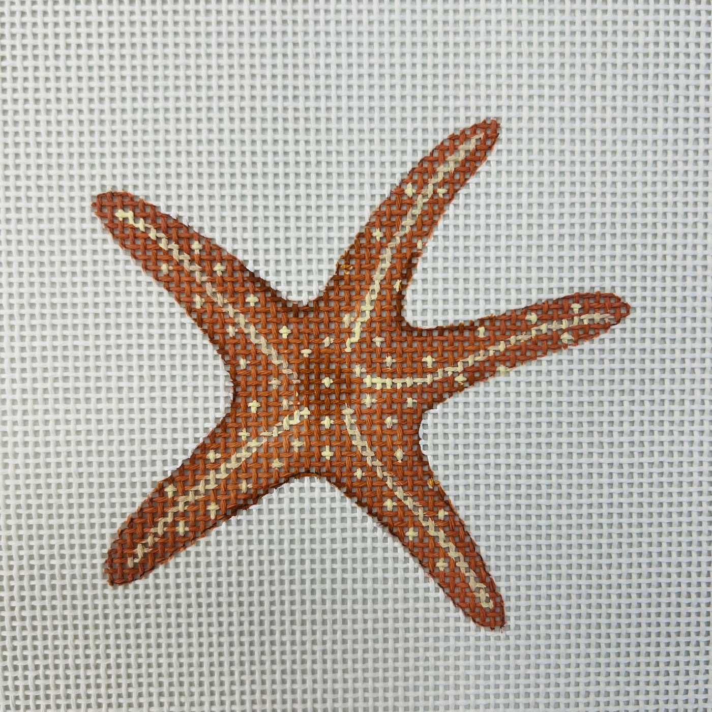 Starfish  Insert