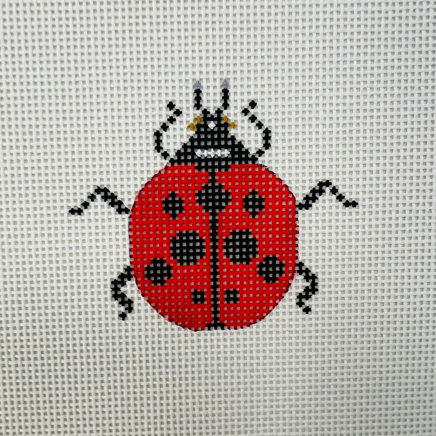 Lady Bug  Insert