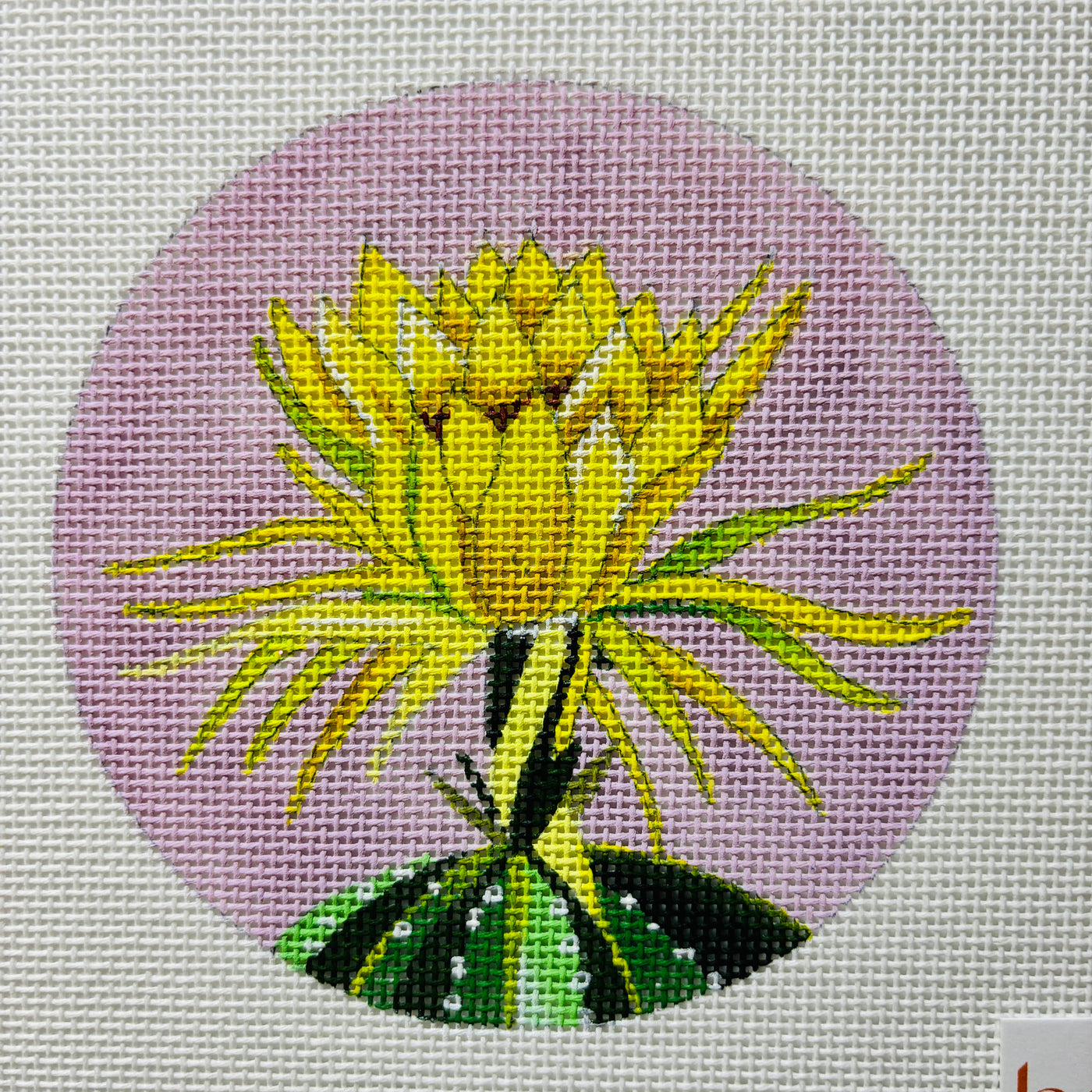 Yellow Cactus Flower on Pink Needlepoint Canvas