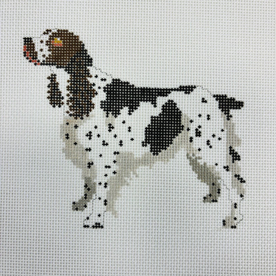 Springer Spaniel needlepoint canvas - Bargello Needlepoint